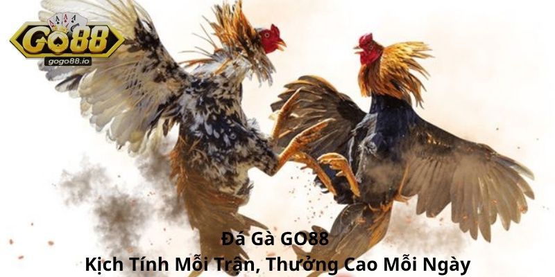 Đá Gà GO88